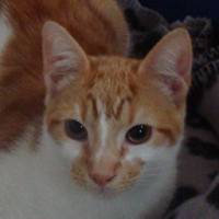 Zebedee